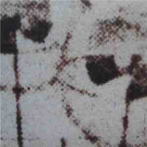 Eliane Radigue - Vice - Versa, Etc.