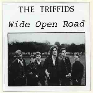 The Triffids - Wide Open Road