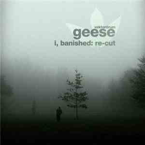 Vektordrum - Geese: I, Banished Re-cut