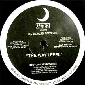 Musical Expression - The Way I Feel