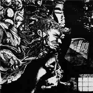 Nurse With Wound - Merzbild Schwet
