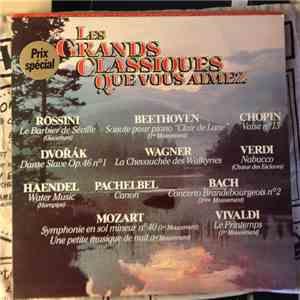 Various - Les Grands Classiques Que Vous Aimez