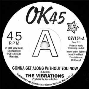 The Vibrations - Gonna Get Along Without You Now