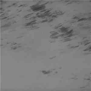 Chlorine Gargle - Object Of Servility