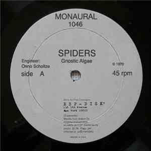 Gnostic Algae - Spiders/Meets A Mermaid