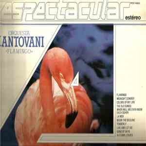 Orquesta Mantovani - Flamingo