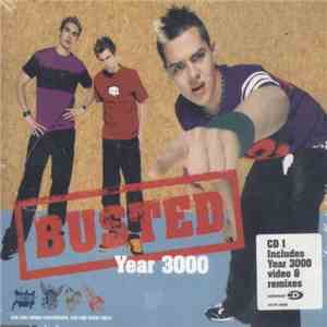 Busted  - Year 3000