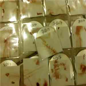 Ech(o) With Flat Affect - Demo EP