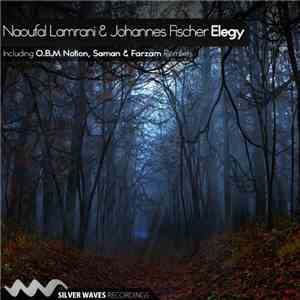 Naoufal Lamrani & Johannes Fischer  - Elegy