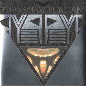 These New Puritans - Beat Pyramid