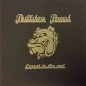 Bulldog Breed  - Loyal To The End