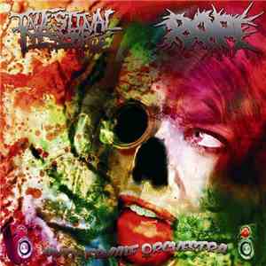 Intestinal Disgorge / RAPE - Anti-Female Orchestra