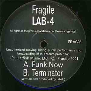 Lab 4 - Funk Now / Terminator