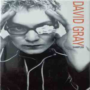 David Gray - Sampler
