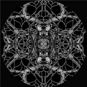 Pfirter - New State Of Consciousness Remixed