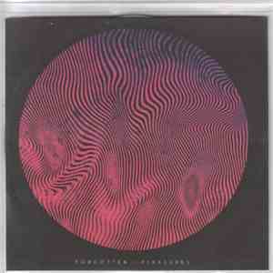 Findlay - Forgotten Pleasures