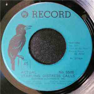 No Artist - Actual Starling Distress Calls
