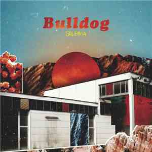 Soleima - Bulldog