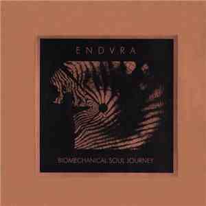Endvra - Biomechanical Soul Journey