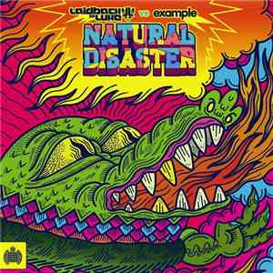 Laidback Luke Vs Example - Natural Disaster