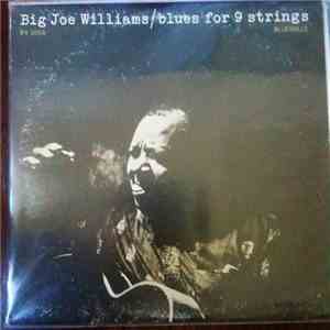 Big Joe Williams - Blues For 9 Strings