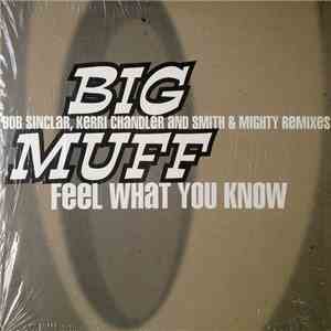 Big Muff - Feel What You Know