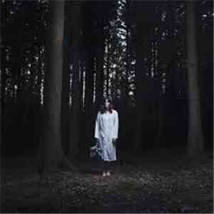 Ignore The Elephant - Hymns For The Weary