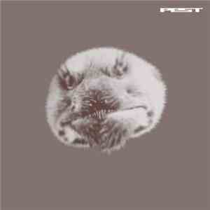 Pest - Jefferson Shuffle / Child Of The Deep Freeze