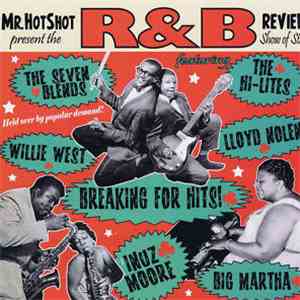 Various - Mr. Hot Shot - The R&B Review Vol.4