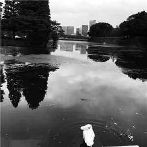 Ross Hammond  - Tokyo