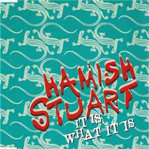Hamish Stuart - It Is What It Is