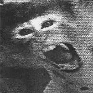 leonard Nimoy  - The Screaming Cage