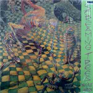Screaming Trees - Invisible Lantern