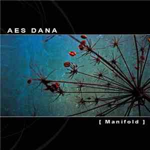 Aes Dana - Manifold
