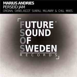 Marius Andries - Perseid Jam