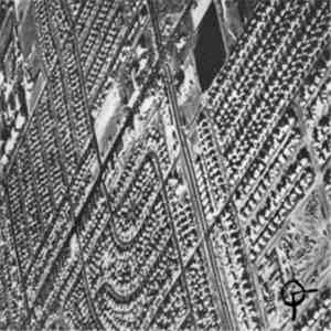 Oxygenfad - Oxygenfad
