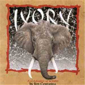 Jim Centorino - Ivory, A Celebration Of Wildlife