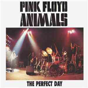 Pink Floyd - The Perfect Day