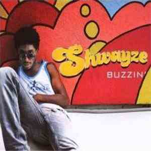 Shwayze - Buzzin'