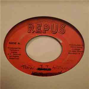 Square One , Allison Hinds - Turn It Around (The Plumber) / Time Fe Wuk It  ...