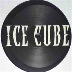 Ice Cube - Chrome & Paint / You Got A Lot Of That