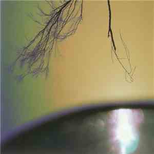 Mike VanPortfleet - Beyond The Horizon Line