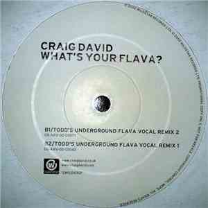 Craig David - What's Your Flava?