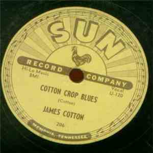 James Cotton - Cotton Crop Blues  / Hold Me In Your Arms