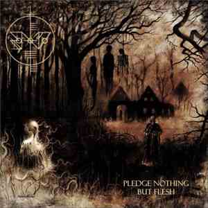 Scáth Na Déithe - Pledge Nothing But Flesh