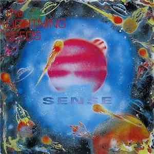 The Lightning Seeds - Sense