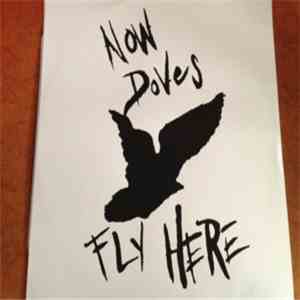 Various - Now Doves Fly Here
