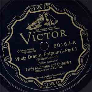 Ferdy Kaufmann And Orchestra - Waltz Dream-Potpourri