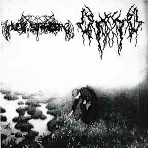 Her Suffering / Skog  - The Sadness Of Another Day