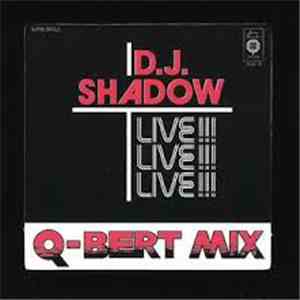 D.J. Shadow - Q-Bert Mix-Live!!